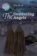 Destroying Angels (eBook, ePUB) - Bild 1