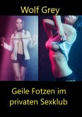 Geile Fotzen im privaten Sexklub (eBook, ePUB)