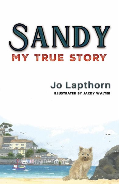 Sandy (eBook, ePUB) Sandy (eBook, ePUB)