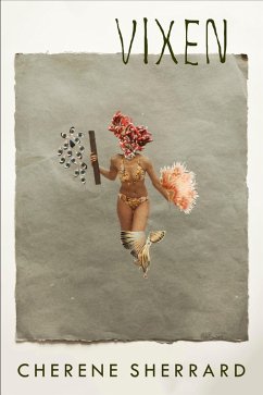 Cover Vixen (eBook, ePUB)