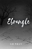 Ebrangle (eBook, ePUB)