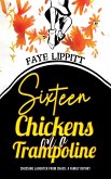 Sixteen Chickens on a Trampoline (eBook, ePUB)