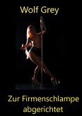 Zur Firmenschlampe abgerichtet (eBook, ePUB)