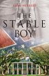 Stable Boy (eBook, ePUB) - Bild 1