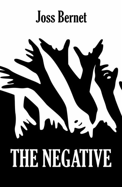 Negative (eBook, ePUB)