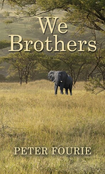 We Brothers (eBook, ePUB)