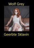 Geerbte Sklavin (eBook, ePUB)