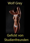 Gefickt von Studienfreunden meines Sohnes (eBook, ePUB)