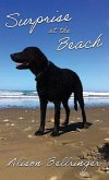 Surprise at the Beach (eBook, ePUB)