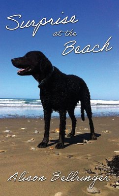 Cover Surprise at the Beach (eBook, ePUB)