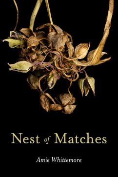 Cover Nest of Matches (eBook, ePUB)