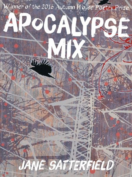 Apocalypse Mix (eBook, ePUB)
