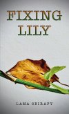 Fixing Lily (eBook, ePUB)