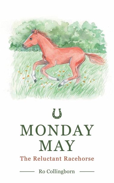 Monday May (eBook, ePUB)