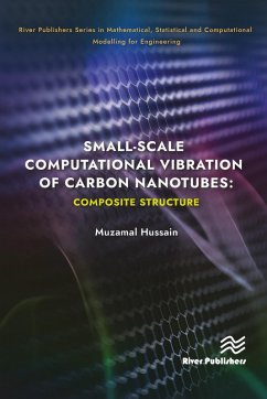 Small-scale Computational Vibration of Carbon Nanotubes: Composite Structure (eBook, PDF) - Hussain, Muzamal