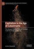 Capitalism in the Age of Catastrophe (eBook, PDF)