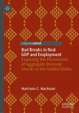 Bad Breaks in Real GDP and Employment (eBook, PDF)