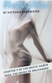 The Muses of Mélisandre: The Long Tease (eBook, ePUB)
