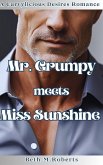 Mr. Grumpy meets Miss Sunshine (Curvylicious Desires Romance Series, #1) (eBook, ePUB)