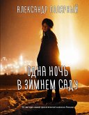 Одна ночь в зимнем саду (eBook, ePUB)