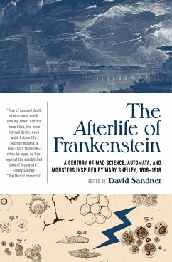 Cover The Afterlife of Frankenstein (eBook, ePUB)