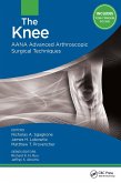 The Knee (eBook, PDF)