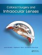 Cataract Surgery and Intraocular Lenses... - Bild 1