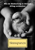 Sinnspuren (eBook, ePUB)