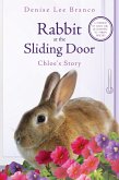 Rabbit at the Sliding Door (eBook, ePUB)