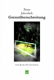 Grenzüberschreitung - Eine Ronny Hirt Geschichte (eBook, ePUB)