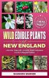 Wild Edible Plants of New England... - Bild 1