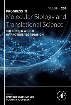 Cover The Hidden World of Protein Aggregation (eBook, ePUB)