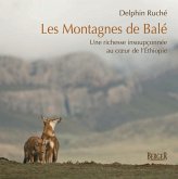 Les Montagnes de Balé (eBook, ePUB) Les Montagnes de Balé (eBook, ePUB)
