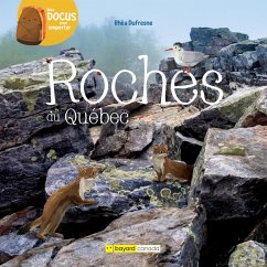 Roches du Québec (eBook, PDF) - Rhea Dufresne, Dufresne