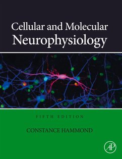 Cover Cellular and Molecular Neurophysiology (eBook, ePUB)