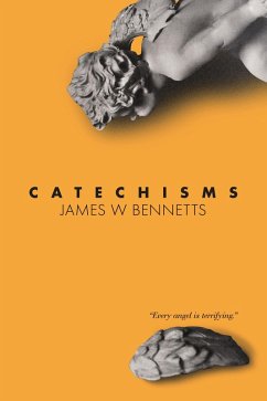 Cover Catechisms (eBook, ePUB)