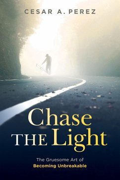 Cover Chase the Light (eBook, ePUB)