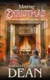 Meeting Christmas (eBook, ePUB)