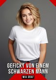 Gefickt von einem schwarzen Mann (eBook, ePUB)