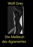 Die Melkkuh des Agrarwirtes (eBook, ePUB)