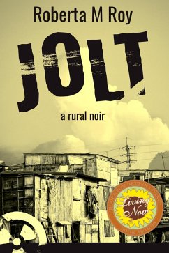 Jolt (eBook, ePUB) - Roy, Roberta M