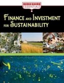 Finance and Investment for Sustainability (eBook, PDF)