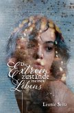 Die Extremzustände meines Lebens (eBook, ePUB)