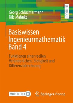 Basiswissen Ingenieurmathematik Band 4 - Schlüchtermann, Georg;Mahnke, Nils