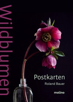 Wildblumen - Bauer, Roland