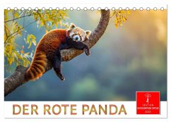 Der Rote Panda (Tischkalender 2025 DIN A5 quer), CALVENDO Monatskalender - Calvendo;Roder, Peter