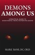 Demons Among Us: A Practical Guide to... - Bild 1