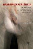 Imagem-experiência (eBook, ePUB)