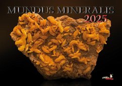 MUNDUS MINERALIS 2025 - Neubert, Jörg