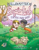 Central Park Ghost (eBook, ePUB)